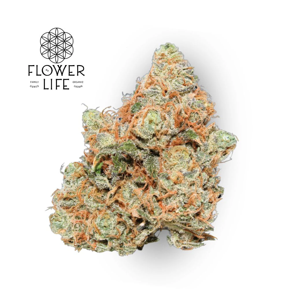 Flower of Life - OK - Motown Fuel Bulk Flower - FLOWER OF LIFE Main Image