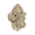 Product Preview Image 2