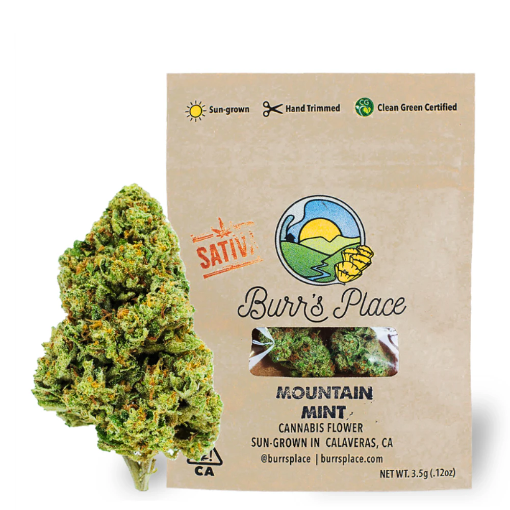 Burr's Place - Mountain Mint (Eighth) Main Image