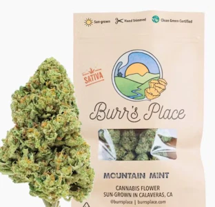 Burr's Place - Burr's Place Mountain Mint 1/4 PD 30%