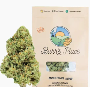 BURR'S PLACE - Burr's Place Mountain Mint Ounce 26%
