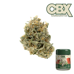 CANNABIOTIX - Mountain Sage