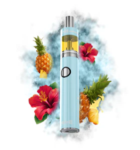 DIME - 1:1 Mowie Wowie Disposable - 2g - DMC