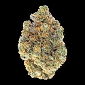 Motown Fuel - Buds