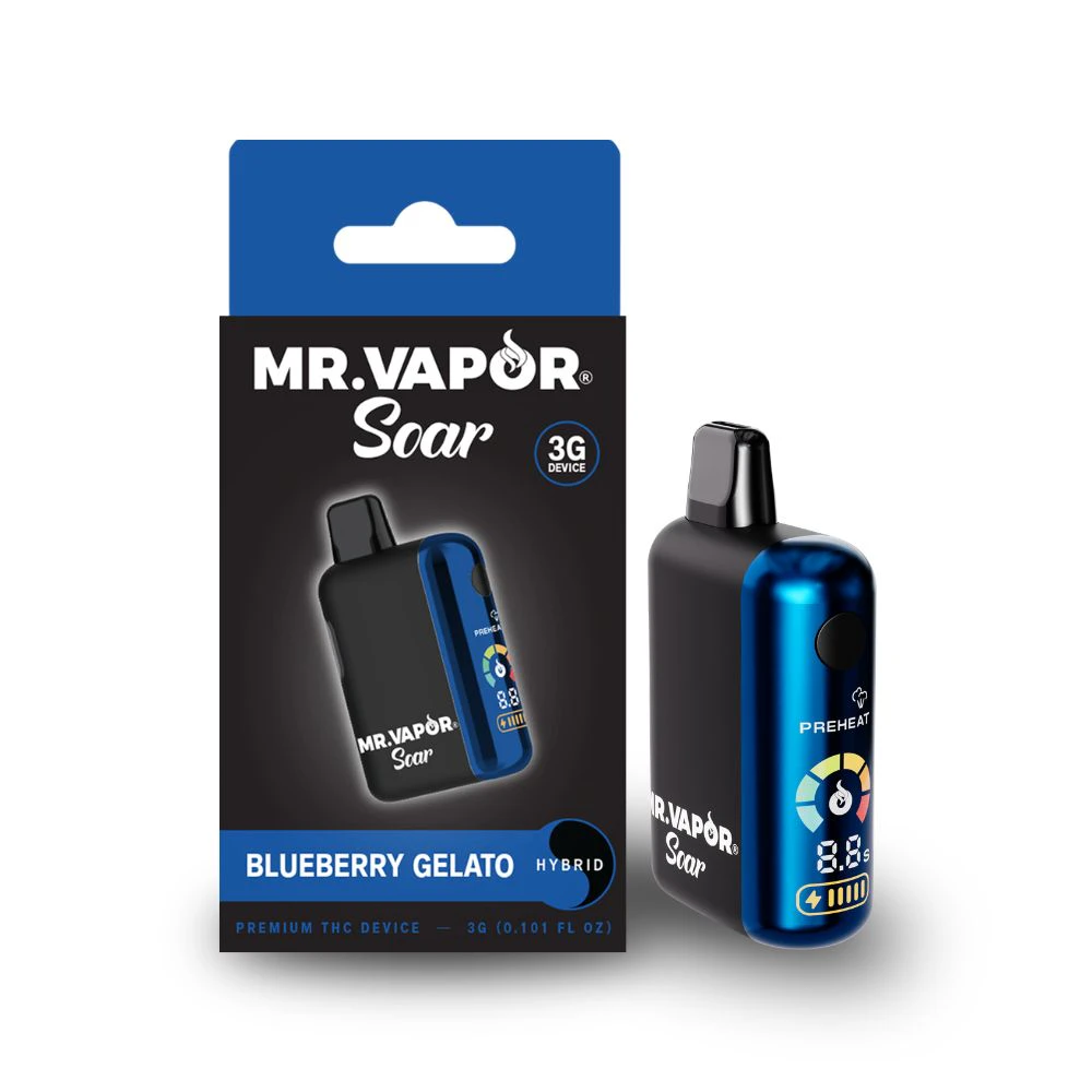 Mr. Vapor Soar - Blueberry Gelato 3g Disposable - MR. VAPOR SOAR Main Image