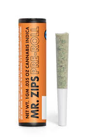 MR. ZIPS - MR. ZIPS - Sunshine Punch - Preroll - 1G Main Image