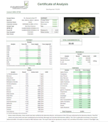 Ms. Wonderful Pre Roll 0.7g ea