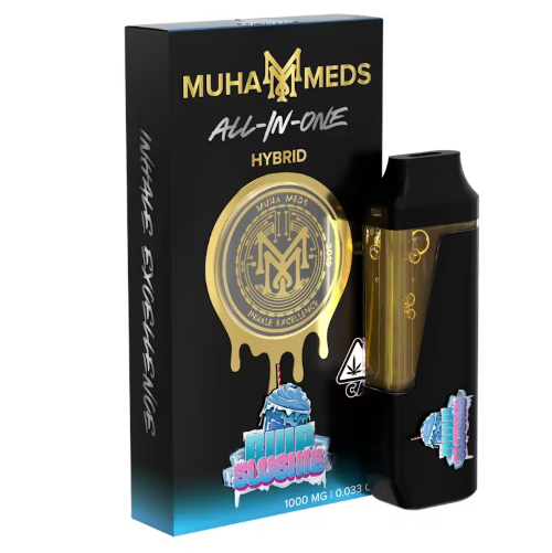 MUHA MEDS: Blue Slushie 1g Disposable (H)