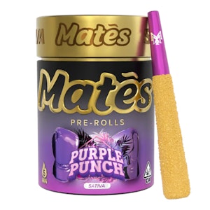 MUHA MEDS - Muha Meds 5pk Mates | Purple Punch (S)