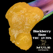 Mule | Dab LR 2g [S] | Blackberry Haze