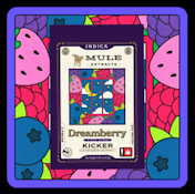 Dreamberry 2:1, Gummy, 2pk
