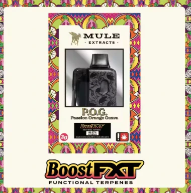 Mule Extracts - P.O.G, Flavored Disposable, 2g Main Image
