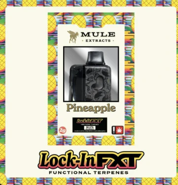 Mule Extracts - Pineapple, Flavored Disposable, 2g Main Image