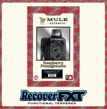 Mule Extracts - Raspberry Pomegranate, Flavored Disposable, 2g Main Image