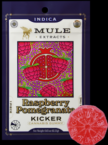 Mule Extracts - Raspberry Pomegranate, Gummy, Single