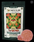 Strawberry Lemonade The Quad 1:1:1:1, Gummy, 2pk