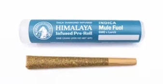 Himalaya 1g Mule Fuel Infused Preroll