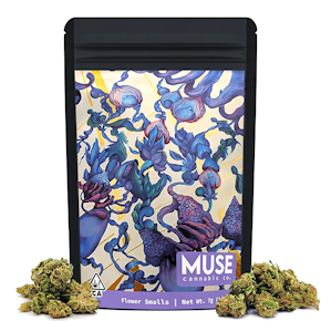 Gush Mints Smalls (7g)