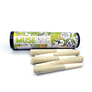 MUSE - Sunday Runtz 5 Pack Prerolls (2.5g)