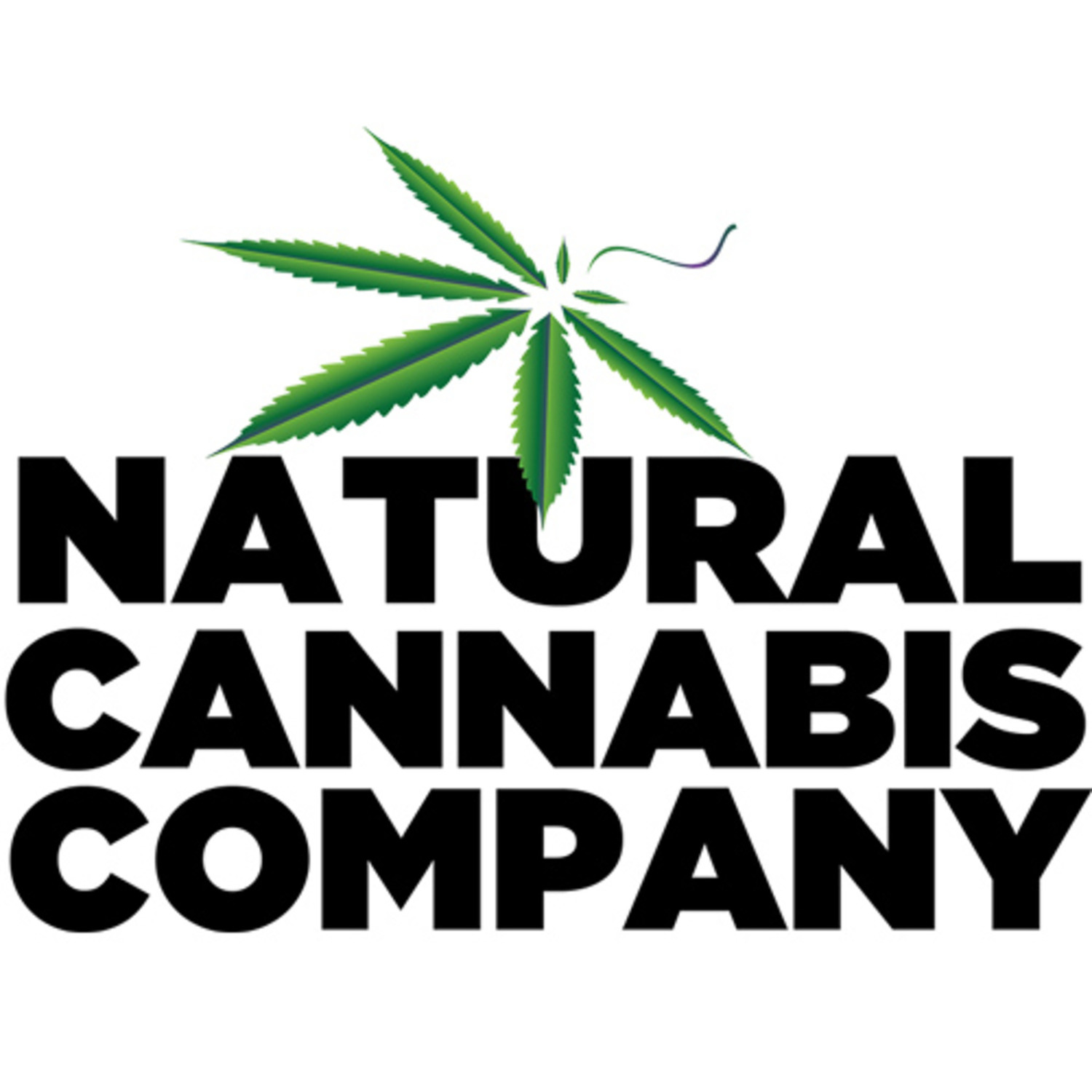 Sunbright Gardens Sour Goo Queen 3.5G 1 Venice Dispe...