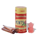 Nanticoke - Cinnamon - Mints - 100mg - Edible