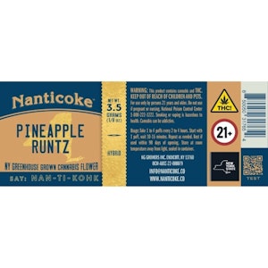 NANTICOKE - NANTICOKE | Pineapple Runtz | 3.5G 