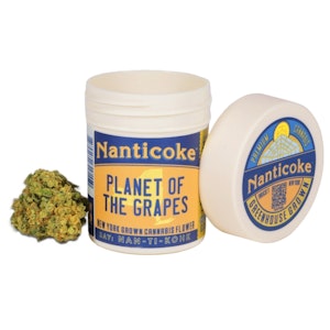 Nanticoke - Nanticoke - Planet of the Grapes - 3.5g - Flower