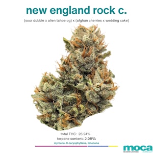 MOCA Flowers - MOCA Flowers - 1G Smalls - New England Rock C.