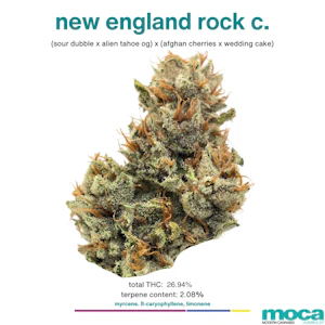 MOCA Flowers - MOCA Flowers - 1/8th Jar - New England Rock C.