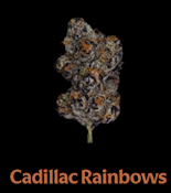 NEZ Cadillac Rainbows - 14g Smalls