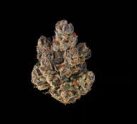 Rainbow Push Pop #4 Flower - 7g