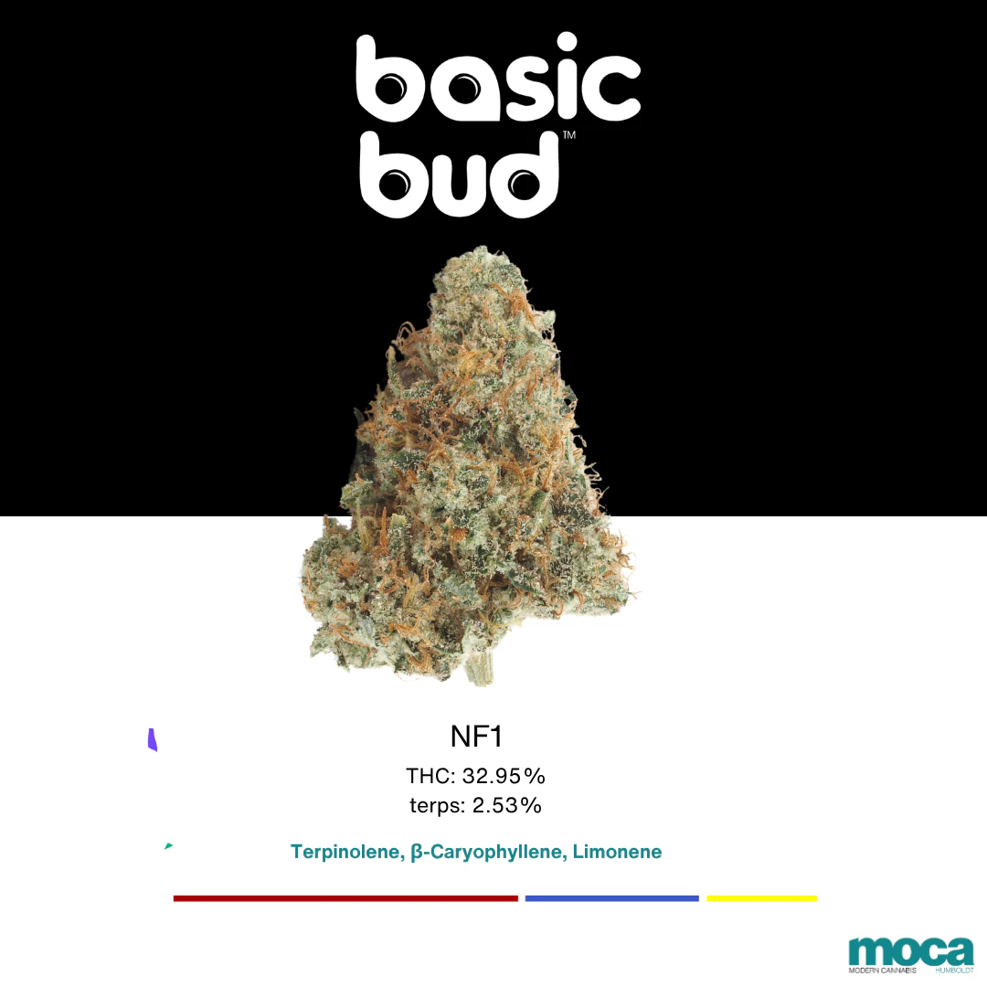 Basic Bud - Basic Bud - 1/8th Indoor - NF1 Main Image