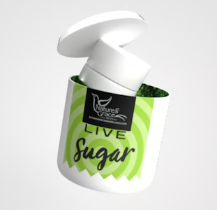Nature's Grace - Deep Fried Runtz Live Sugar - 1g