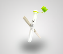 Skywalker XL Pre-Roll - 1g