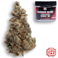 Nigerian Silver Flower | Eighth Special