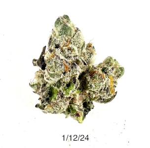 PROHIBITION 37 - P37 - Nights Moves #1