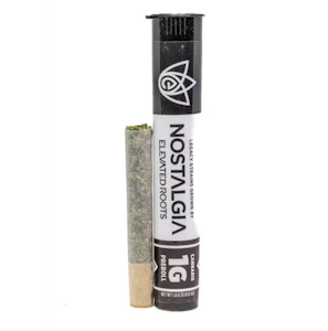 NOSTALGIA - Ice Cream Cake PreRoll - 1g - EVR