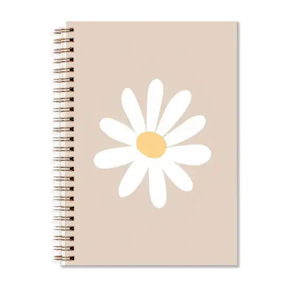 Notebooks (Assorted)