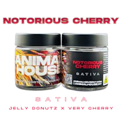 Notorious Cherry | Flower | 3.5g