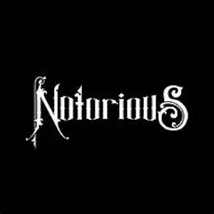 NOTORIOUS - NOTORIOUS - BLACK MAPLE 0.5 GRAM PRE-ROLL