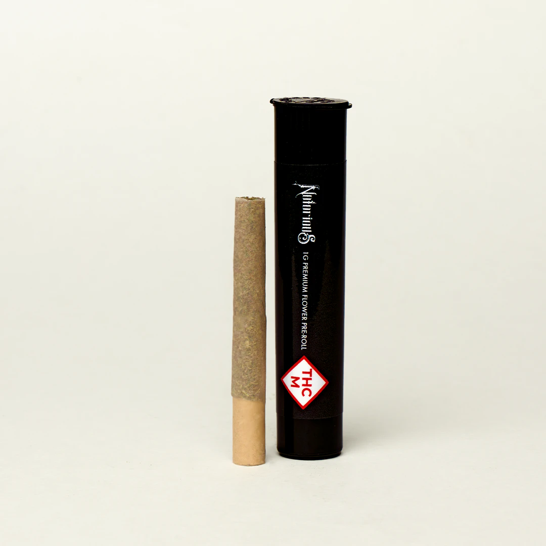 notorious - NOTORIOUS - DISCO FRIES 1 GRAM PRE ROLL Main Image