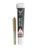 Dadirri - Caviar Bitty - Big Velvet (S) - .5g
