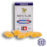 NW Berry "Mini Kicker" Gummies | 10pc 300mg 1:1:1 (THC:CBD:CBN)