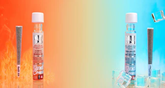 NW Kind Trop Cherry Strawberry x Trop Cherry Strawberry Live Rosin Infused Pre-Roll 1.5g