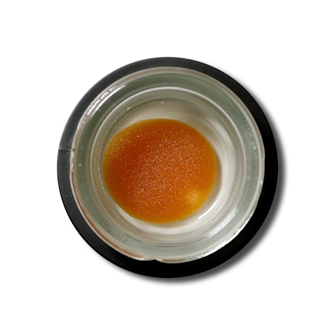 #HASH - #19 Purple Mandarin Punch -Hybrid- Wax Budder 1g (concentrate) | #HASH -Refrigerator
