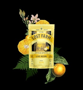 Lost Farm - Citrus Spritz x Napa 10 Pack Gummies | Lost Farm | Edible