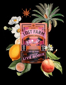 LOST FARM - Lost Farm | Edible | Live Rosin Gummies - Tropical Lemonade x Dos-Si-Dos | 100mg, 10