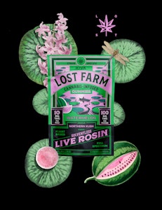 LOST FARM - Lost Farm | Edible | Live Rosin Gummy - Watermelon x Northern Kush | 100mg, 10