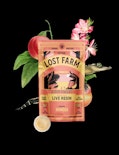Juicy Peach x Mimosa 10 Pack Gummies | Lost Farm | Edible