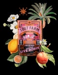 Lost Farm - Tropical Lemonade x Do-Si-Dos - Live Rosin - 100mg - Edible